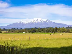 魯阿佩胡火山