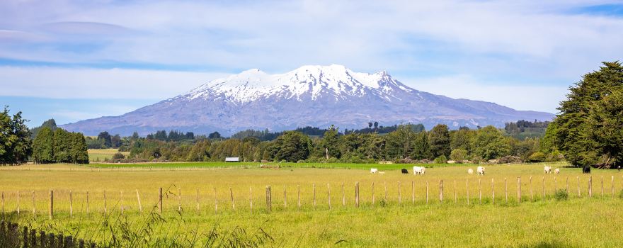 Mont Ruapehu