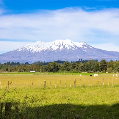 tiket pesawat ke New Plymouth Shanghai Airlines