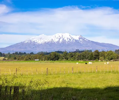 Các khách sạn ở Taupo