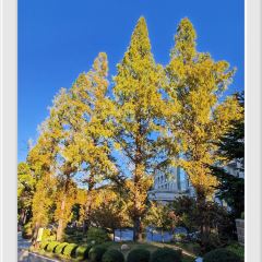庐山华微国际度假酒店中餐厅 User Photo