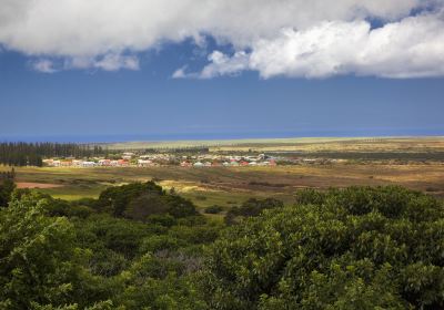 Lanai City