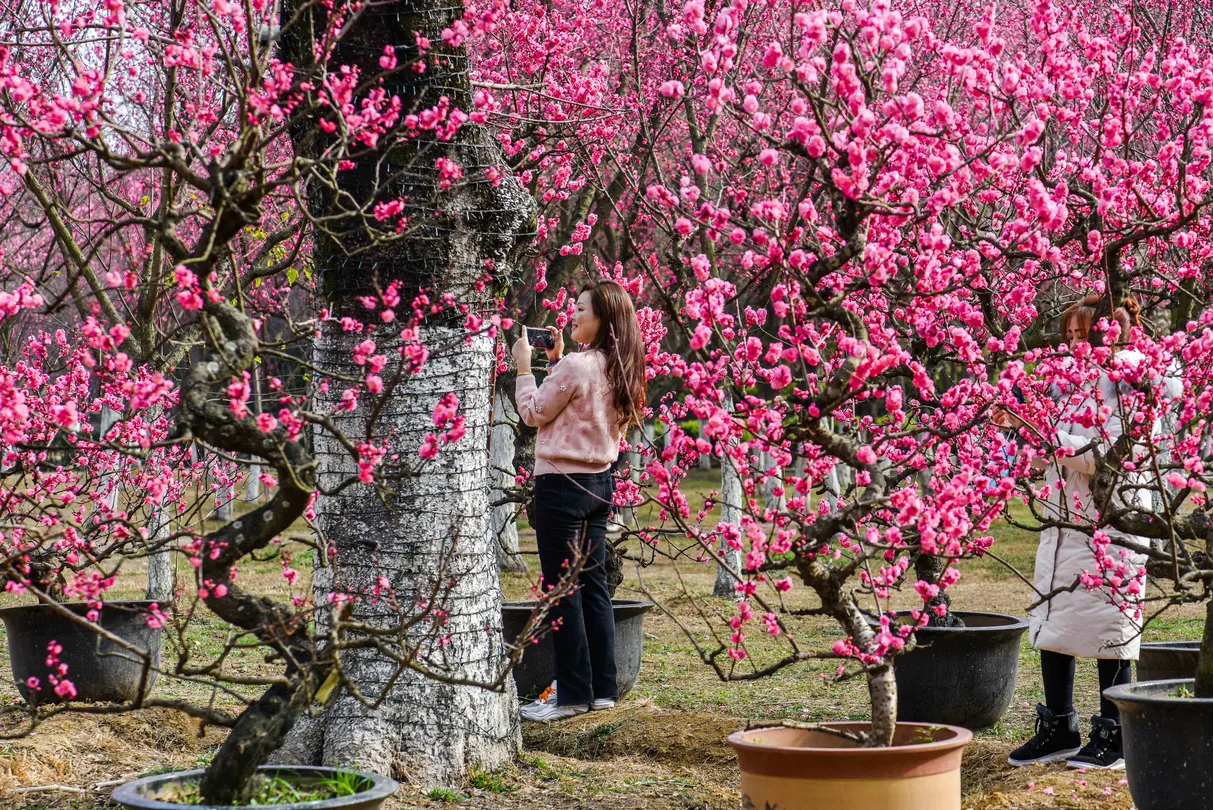 4_Oriental Beauty Park