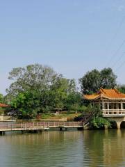 Xuwen People's Park