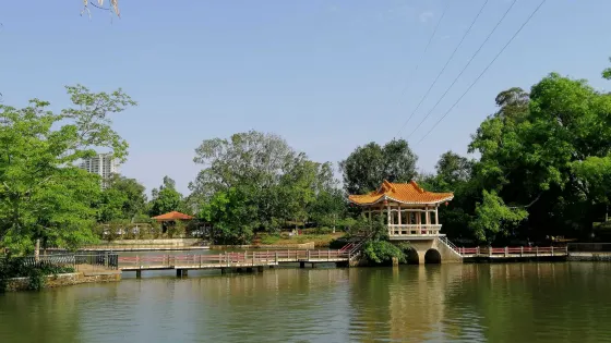 徐聞人民公園