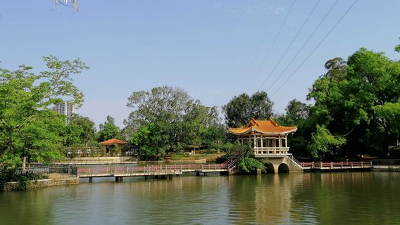 Xuwen People's Park