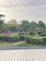 Baizhuhu Square Qiyangxian