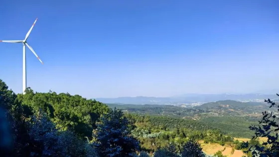 化佛山