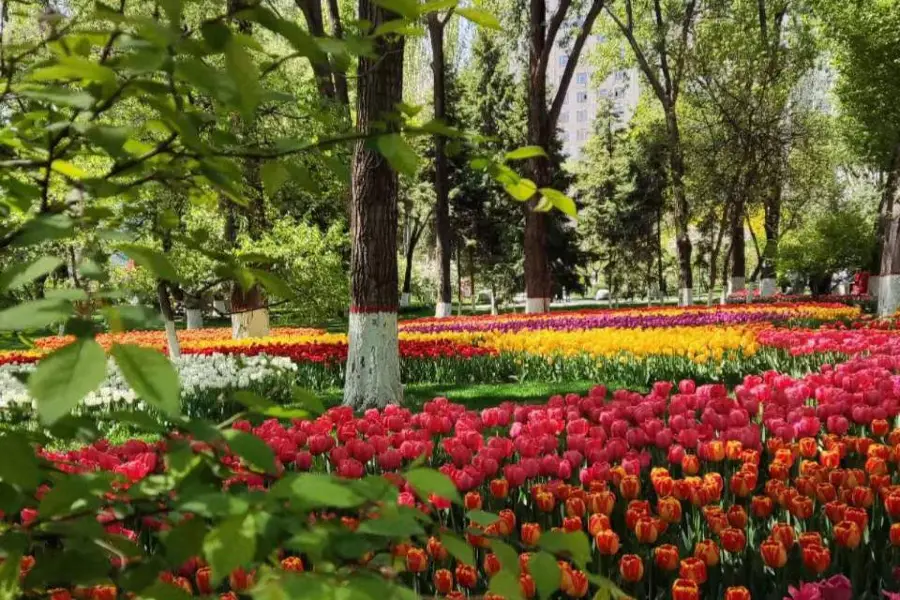 Jingxifeng Wetland Ecology Park