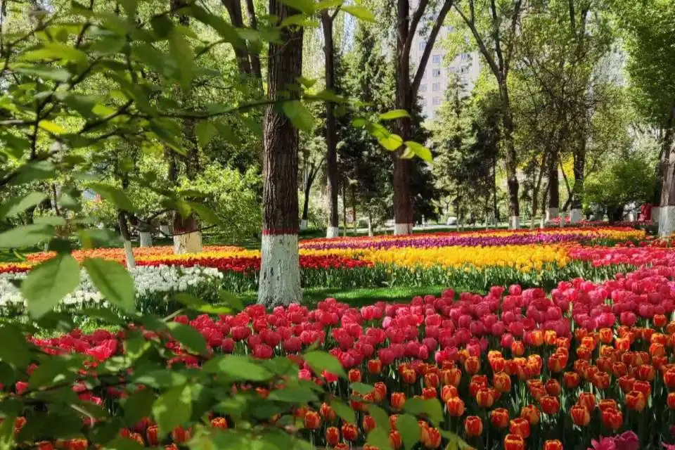 Hotels near Jingxifeng Wetland Ecology Park