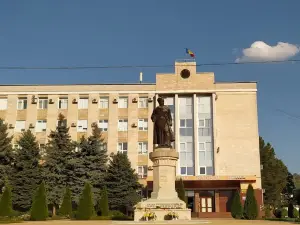 Vasile Lupu monument