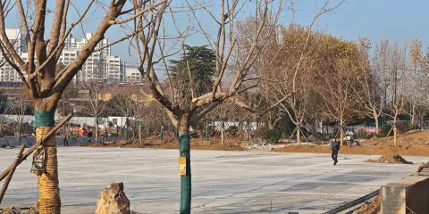 跳舞廣場