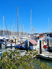 Kawana Waters Marina