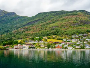 Ligne de Flåm