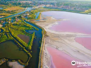 Saline di Aigues-Mortes
