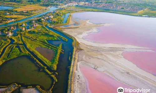 Salin d'Aigues-Mortes