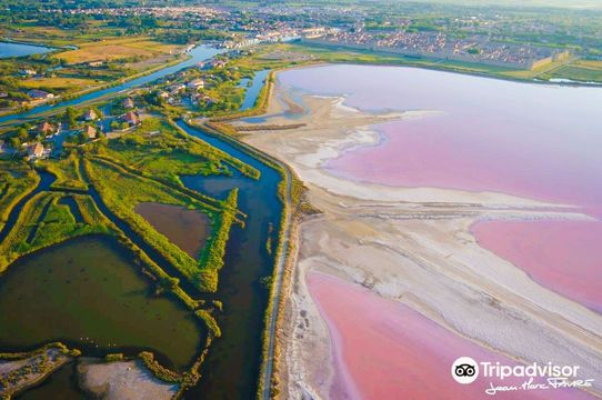Saline di Aigues-Mortes