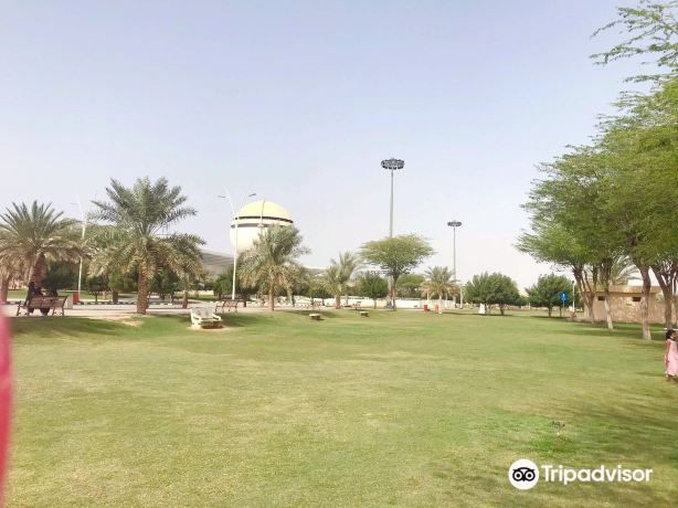 بريدة