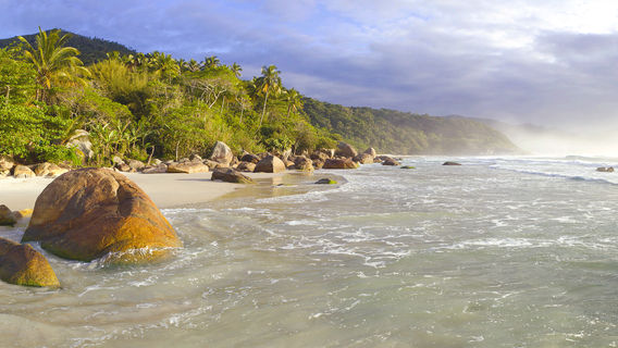 Ilha Grande