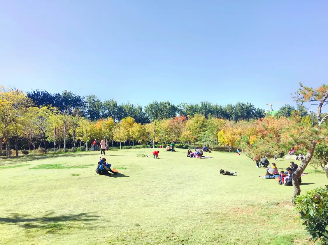 Hotels near Jinan Forest Park