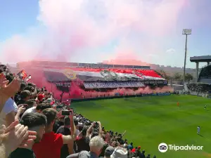 Stadio Pino Zaccheria
