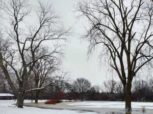 리버사이드 공원