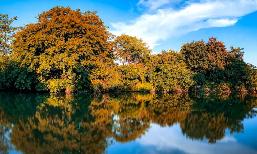 Haizhu Wetland