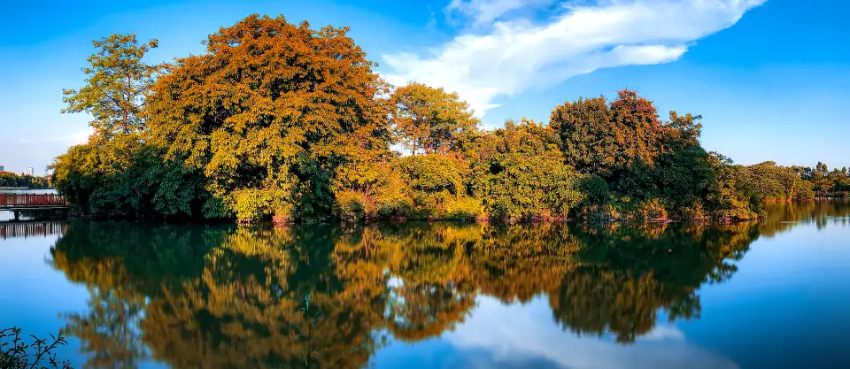3_Haizhu Wetland
