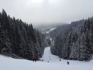 Băișoara Ski Slope