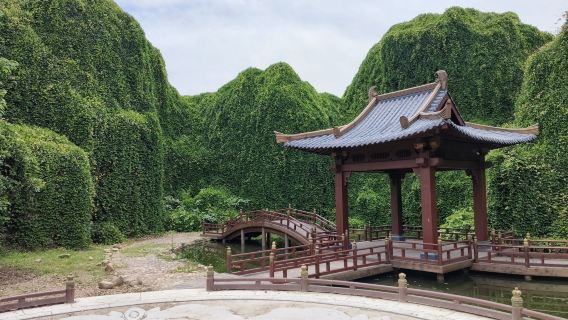 The Four Sacred Mountains of Buddhism in China