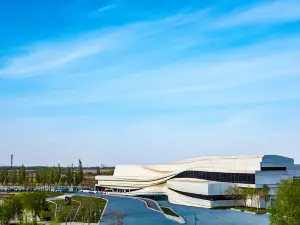 Современная галерея Yinchuan