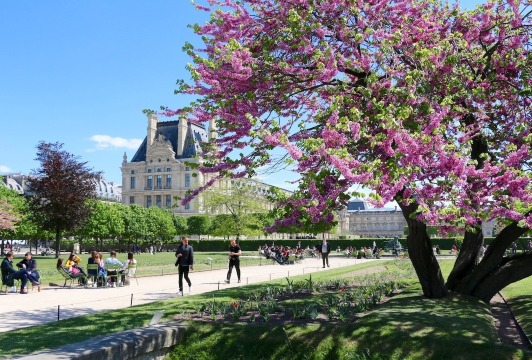 Top 20 Spring Outings in Paris