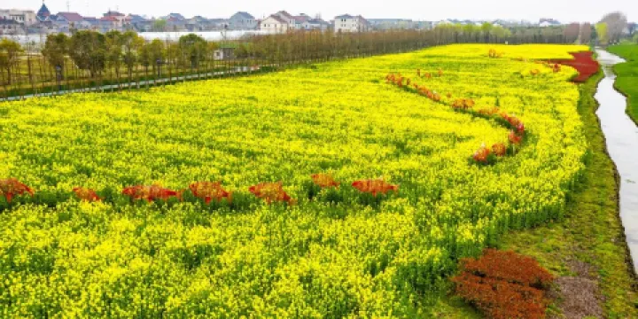 太湖旅遊度假區