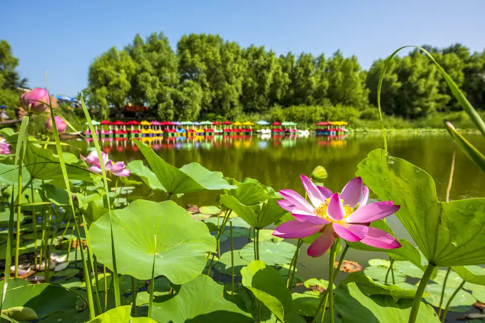 2_Da'an Nenjiang Bay Tourist Area