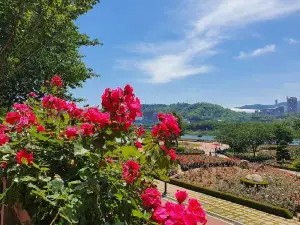 Samcheok Rose Park