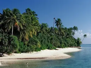 Medhufushi Island