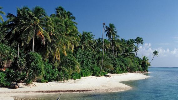 Medhufushi Island