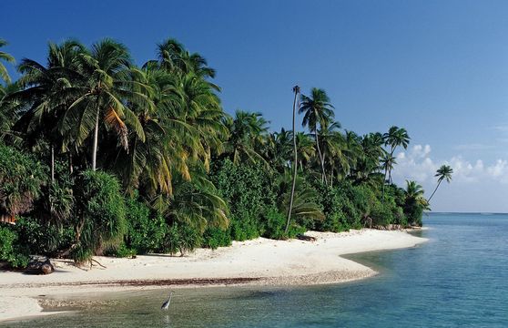 Medhufushi Island