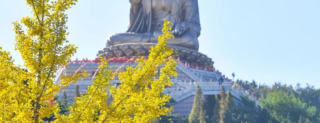 Fall Viewing Attractions