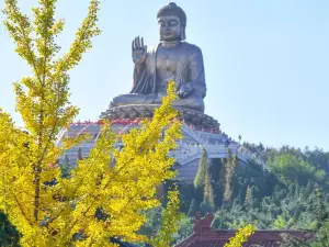 Popular Fall Viewing Attractions in Longkou