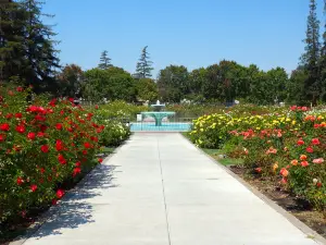 Municipal Rose Garden