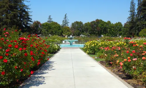 Municipal Rose Garden