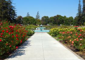 Hotels near Wallenberg Park