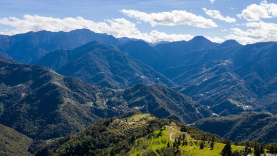 Alishan National Scenic Area