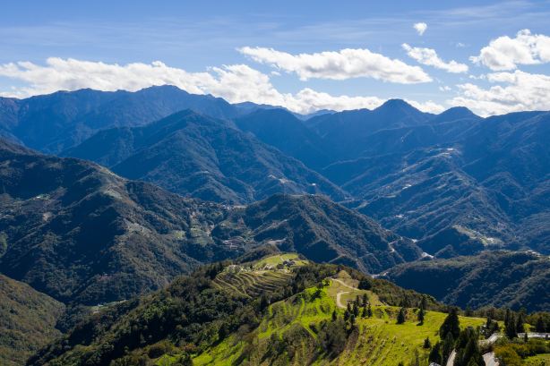 Alishan National Scenic Area