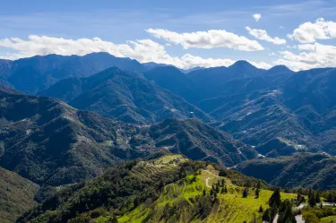 Alishan National Scenic Area