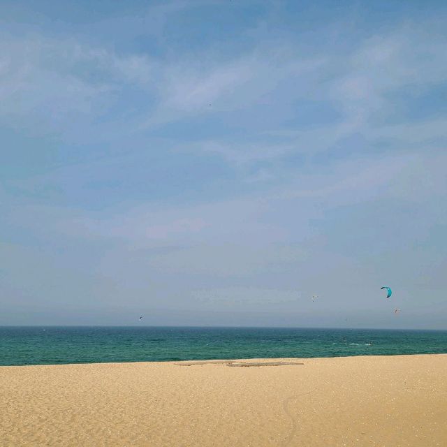 안목? 경포? 송정해변으로 오세요!!