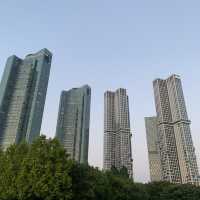 서울 포레스트 