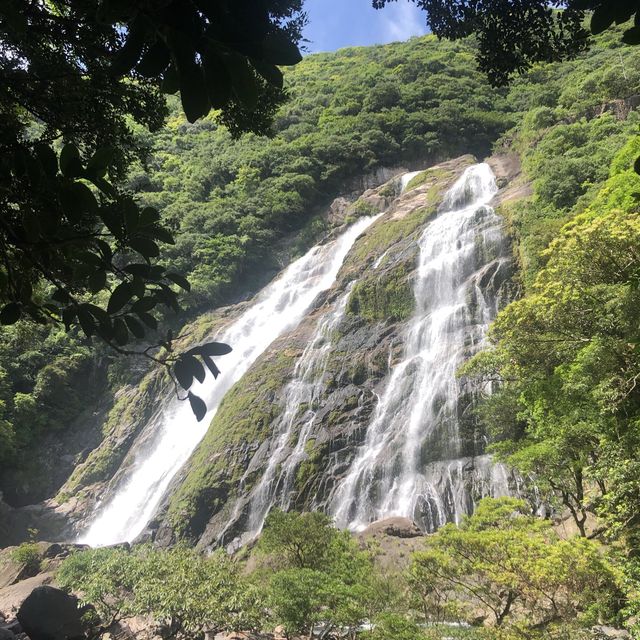 大川の滝(屋久島)