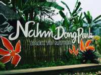 Back to nature